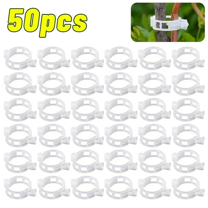Clips de Tuteurage Réutilisables pour Plantes