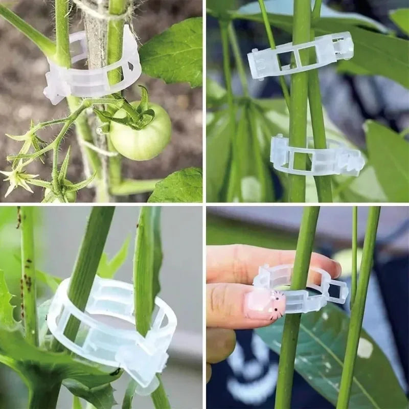 Clips de Tuteurage Réutilisables pour Plantes