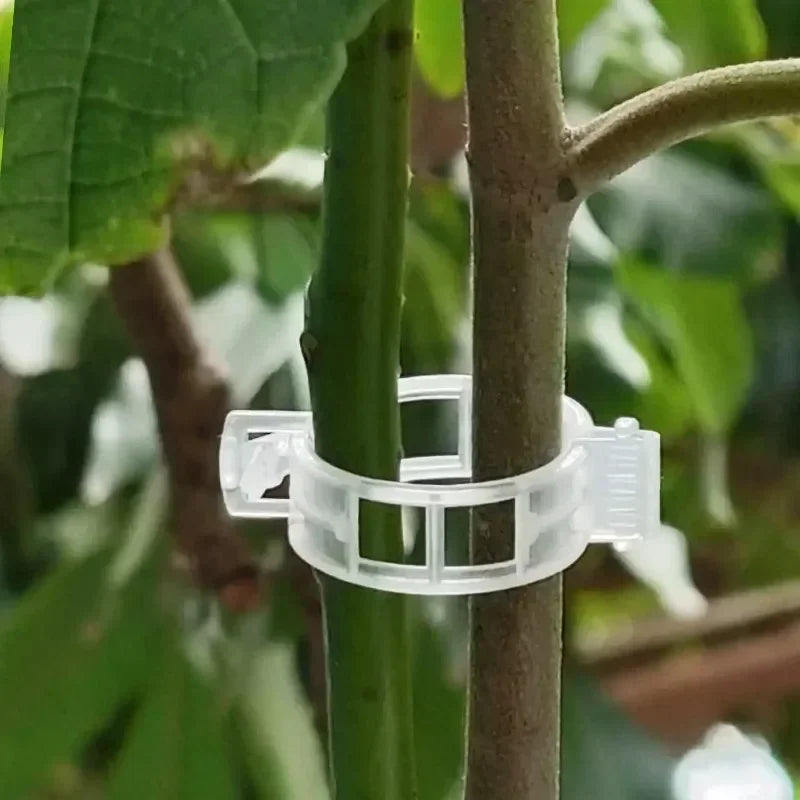 Clips de Tuteurage Réutilisables pour Plantes
