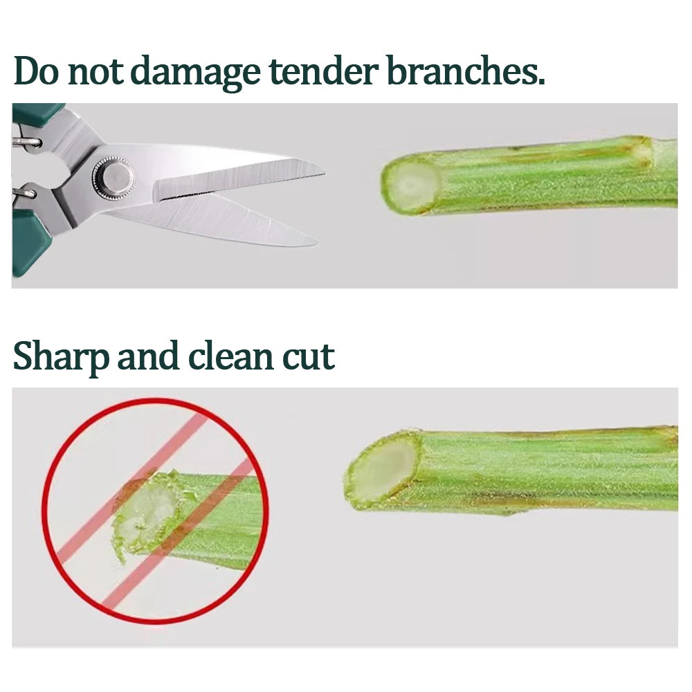 Pince Coupante de Précision pour Jardinage